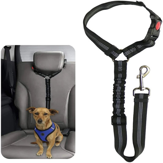 Sicherheitsgeschirr für Hunde im Auto